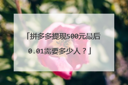 拼多多提现500元最后0.01需要多少人?