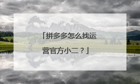 拼多多怎么找运营官方小二?