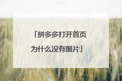 拼多多打开首页为什么没有图片