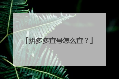 拼多多查号怎么查?