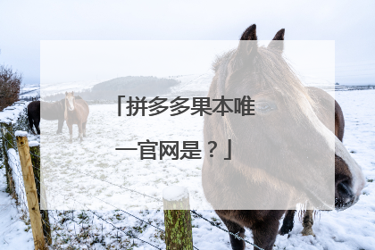 拼多多果本唯一官网是?