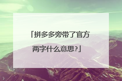 拼多多旁带了官方两字什么意思?