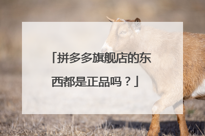 拼多多旗舰店的东西都是正品吗?