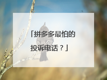 拼多多最怕的投诉电话?