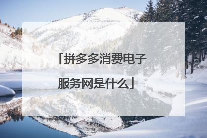拼多多消费电子服务网是什么