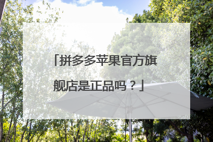拼多多苹果官方旗舰店是正品吗?