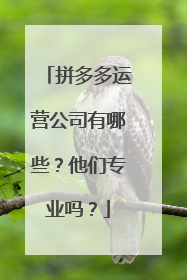 拼多多运营公司有哪些?他们专业吗?