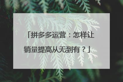 拼多多运营：怎样让销量提高从无到有？