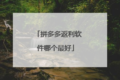 拼多多返利软件哪个最好