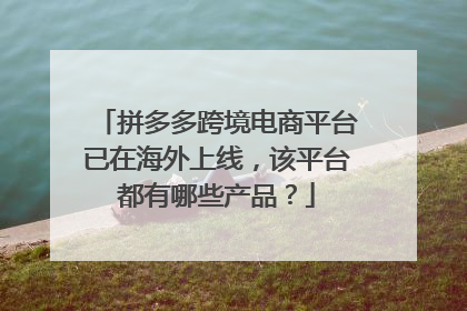 拼多多跨境电商平台已在海外上线，该平台都有哪些产品？
