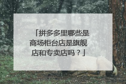 拼多多里哪些是商场柜台店是旗舰店和专卖店吗?