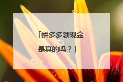 拼多多领现金是真的吗？