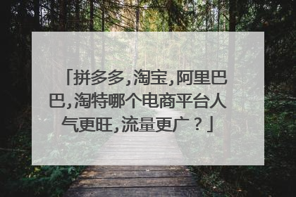 拼多多,淘宝,阿里巴巴,淘特哪个电商平台人气更旺,流量更广?