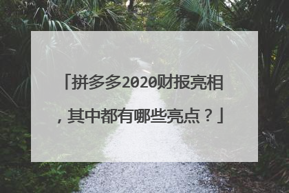 拼多多2020财报亮相,其中都有哪些亮点?