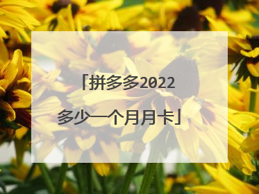 拼多多2022多少一个月月卡