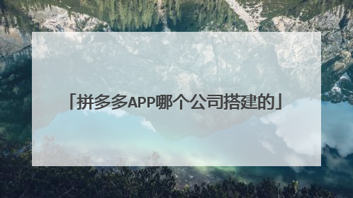 拼多多APP哪个公司搭建的