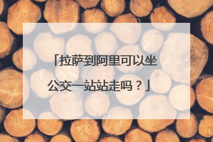 拉萨到阿里可以坐公交一站站走吗？