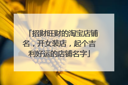 招财旺财的淘宝店铺名,开女装店,起个吉利好运的店铺名字