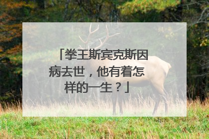 拳王斯宾克斯因病去世,他有着怎样的一生?