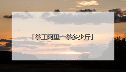 拳王阿里一拳多少斤