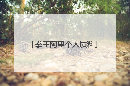 拳王阿里个人质料