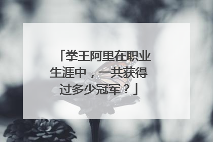 拳王阿里在职业生涯中,一共获得过多少冠军?