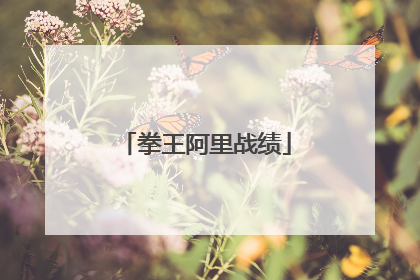 拳王阿里战绩