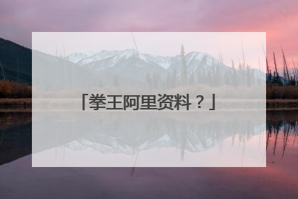 拳王阿里资料?