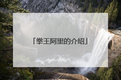 拳王阿里的介绍