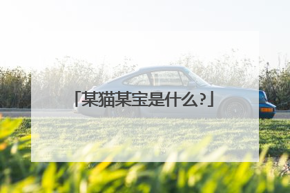 某猫某宝是什么?