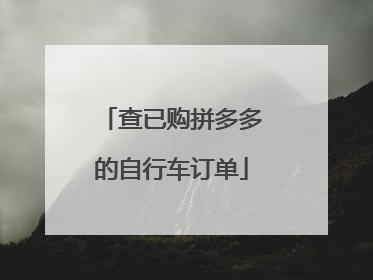 查已购拼多多的自行车订单