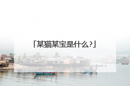 某猫某宝是什么?