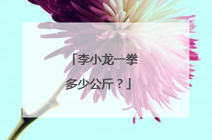 李小龙一拳多少公斤?