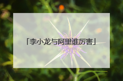 李小龙与阿里谁厉害