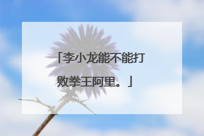 李小龙能不能打败拳王阿里。
