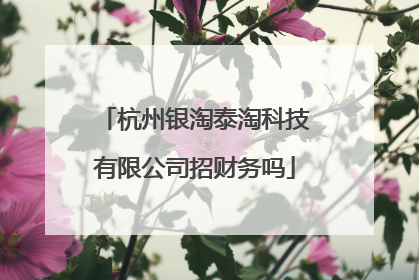 杭州银淘泰淘科技有限公司招财务吗