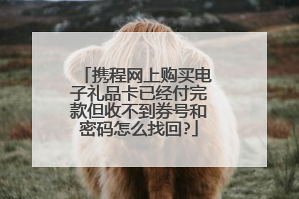 携程网上购买电子礼品卡已经付完款但收不到券号和密码怎么找回?