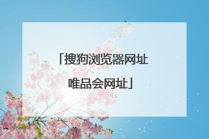 搜狗浏览器网址 唯品会网址