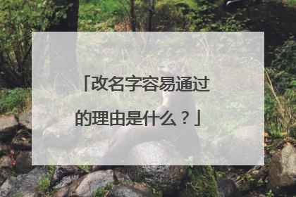 改名字容易通过的理由是什么?