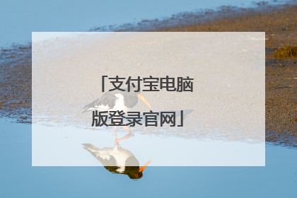 支付宝电脑版登录官网