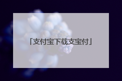 支付宝下载支宝付