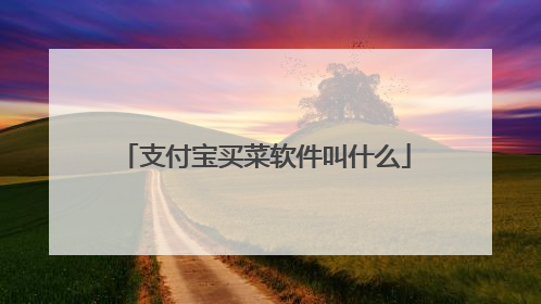 支付宝买菜软件叫什么