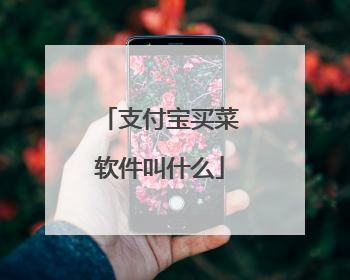 支付宝买菜软件叫什么