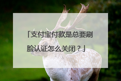 支付宝付款是总要刷脸认证怎么关闭？