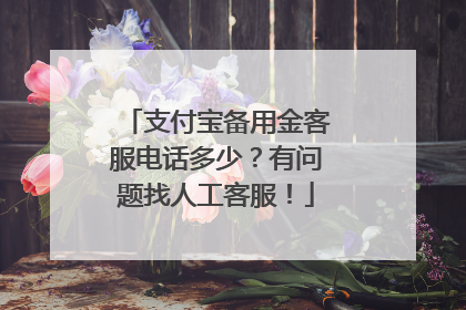 支付宝备用金客服电话多少?有问题找人工客服!