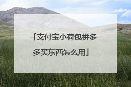 支付宝小荷包拼多多买东西怎么用