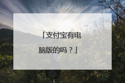 支付宝有电脑版的吗?
