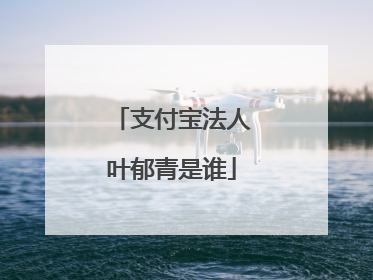 支付宝法人叶郁青是谁