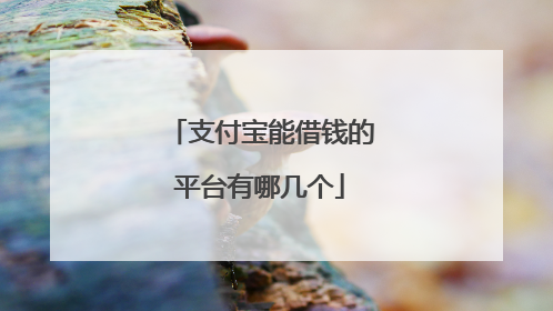支付宝能借钱的平台有哪几个