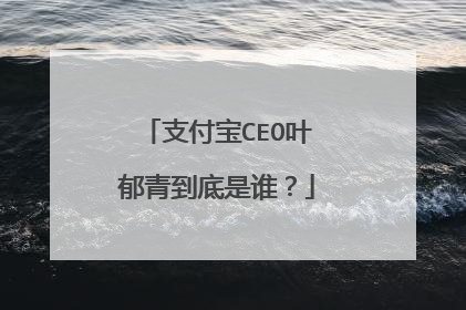 支付宝CEO叶郁青到底是谁?